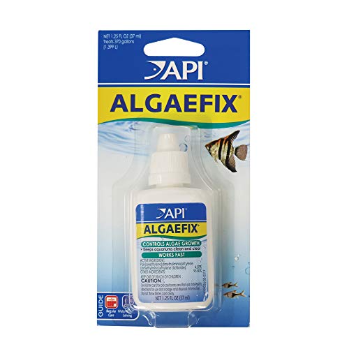 API ALGAEFIX Algae Control 1.25-Ounce Bottle, ALGAEFIX 1.25 OZ