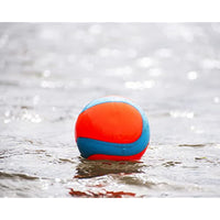 
              Chuckit! Amphibious Mega Ball or Roller That Floats for Medium and Large Dogs
            