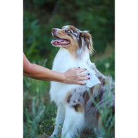 
              Earthbath Tushy Wipes - Helps Neutralize Oder Between Washes, Cleanses and Soothes, Good for Dogs & Cats - Rosemary & Chamomile, 100 Count
            