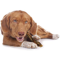 
              Cadet Braided Piggy Sticks for Dogs Sticks Medium (4 Count)
            