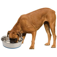 
              OurPets Premium DuraPet Dog Bowl 3qt
            