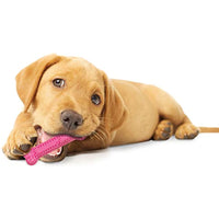 Nylabone Puppy Teething & Soothing Flexible Chew Toy Chicken Petite
