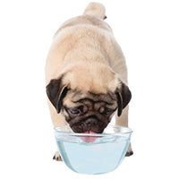 
              Nylabone Advanced Oral Care Dog Liquid Tartar Remover Original Flavor 16 oz.
            