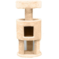 Classy Kitty 36" Condo with Penthouse 17x17x36