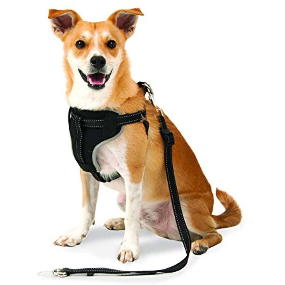 Petmate 11477 The Ultimate Travel Harness for Pets, Medium, Black