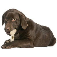 Cadet Hide-a-Bull Rawhide and Bull Stick Bone For Dogs 9-10" Large