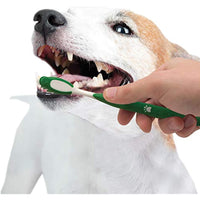 
              Nylabone Advanced Oral Care Natural Dog Dental Kit Peanut Flavor 2.5 oz.
            