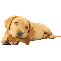 
              Nylabone Just for Puppies Teething Chew Toy Chicken Flavor Small/Regular - Up to 25 lbs. (N200P)
            