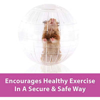 
              Kaytee Giant Run-About Exercise Ball, 11.5-Inches, Clear
            