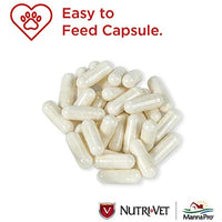 
              Nutri-Vet Probiotic Capsules for Dogs | Digestive Health Support Dog Probiotics | Give Directly or Sprinkle on Food | 60 Capsules
            