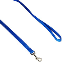 Dog Leash - Nylon - 4 Ft. Blue with a Width of 5/8 in.