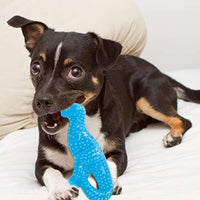 
              Nylabone Puppy Dental Dinosaur Chew Toy for Teething Puppies Chicken Flavor Small/Regular - Up to 25 lbs.
            