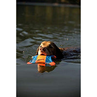
              Canine Hardware Flying Squirrel (Small/Petite)
            