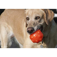 
              Jolly Pets Orange Jolly Jumper Ball Dog Toy 3 in
            