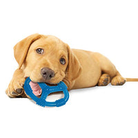 Nylabone Puppy Chew Spin Tug & Play Toy Peanut Butter Flavor Medium/Wolf - Up to 35 lbs.