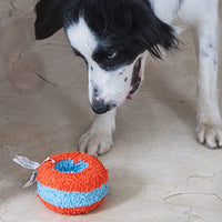 
              Chuckit! Canine Hardware Indoor Roller Dog Toy
            