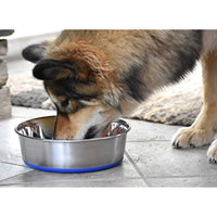 
              OurPets Premium DuraPet Dog Bowl 3qt
            