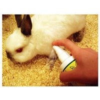 
              Grannick's Bitter Apple for Dogs Spray Bottle, 16 Ounces, Golds & Yellows (1116AT)
            