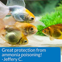 API AMMO-LOCK Freshwater and Saltwater Aquarium Ammonia Detoxifier 4-Ounce Bottle, AMMO LOCK, 4 OZ