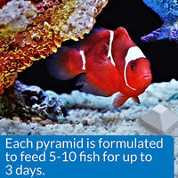 
              API Weekend Pyramid Fish Feeder 3-Day Automatic Fish Feeder 1.4 oz 4Count Pack
            