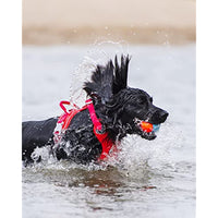 
              ChuckIt! Amphibious Fetch Balls, Set of 3
            