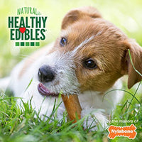 Nylabone Healthy Edibles All-Natural Long Lasting Bacon Flavor Chew Treats 8 count Petite - Up to 15 lbs.
