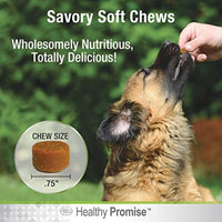 
              Four Paws Healthy Promise Advanced Formula Hip & Joint Supplement for Dogs Soft Chews 48 Count 10.16 oz.
            