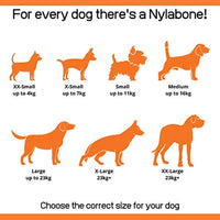 
              Nylabone Ring Power Chew Dog Toy Ring Original Large/Giant (1 Count)
            