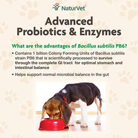
              NaturVet  Advanced Probiotics & Enzymes - Plus Vet Strength PB6 Probiotic | Supports and Balances Pets with Sensitive Stomachs & Digestive Issues | For Dogs & Cats | 70 Soft Chews
            