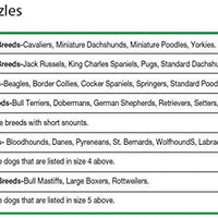 Four Paws Quick Fit Dog Muzzle 5-XL