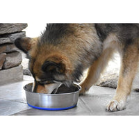 
              OurPets Premium DuraPet Dog Bowl 3qt
            