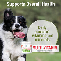 Four Paws Healthy Promise Dog Multivitamin Soft Chews 120 Count 5.08 oz.