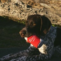 
              ZippyPaws - Squeakie Can Dog Toys, Stuffing Squeaker Plush Beverage Dog Toy - Zippy Cola
            