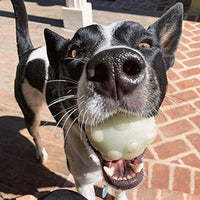 
              Jolly Pets Jumper Dog Toy Balls, Large, Glow in The Dark
            