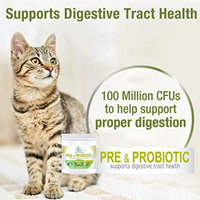 Four Paws Healthy Promise Pre and Probiotics for Dogs Soft Chews 90 ct