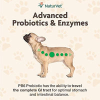 
              NaturVet  Advanced Probiotics & Enzymes - Plus Vet Strength PB6 Probiotic | Supports and Balances Pets with Sensitive Stomachs & Digestive Issues | For Dogs & Cats | 70 Soft Chews
            