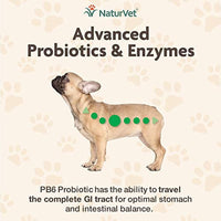 NaturVet  Advanced Probiotics & Enzymes - Plus Vet Strength PB6 Probiotic | Supports and Balances Pets with Sensitive Stomachs & Digestive Issues | For Dogs & Cats | 70 Soft Chews