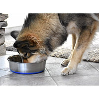 OurPets Premium DuraPet Dog Bowl 3qt