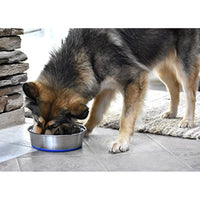 
              OurPets Premium DuraPet Dog Bowl 3qt
            