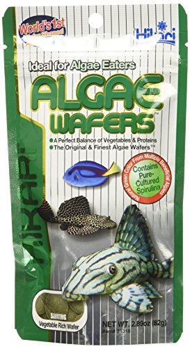 Hikari Usa Inc AHK21316 tropical Algae Wafer 2.89-Ounce