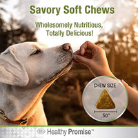 
              Four Paws Healthy Promise Dog Multivitamin Soft Chews 120 Count 5.08 oz.
            