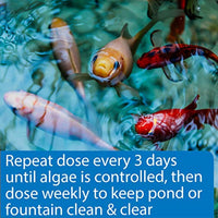 
              API POND ALGAEFIX Algae Control 1-Gallon Bottle
            