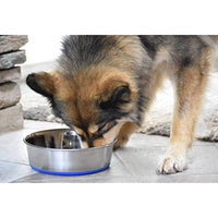 
              OurPets Premium DuraPet Dog Bowl 3qt
            