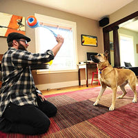 
              Chuckit! Canine Hardware Indoor Roller Dog Toy
            