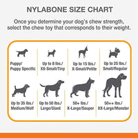 Nylabone Puppy Dental Dinosaur Chew Toy for Teething Puppies Chicken Flavor Small/Regular - Up to 25 lbs.