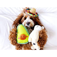 
              ZippyPaws - NomNomz Plush Squeaker Dog Toy for The Foodie Pup - Avocado
            