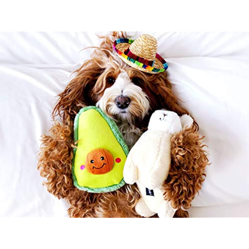 ZippyPaws - NomNomz Plush Squeaker Dog Toy for The Foodie Pup - Avocado