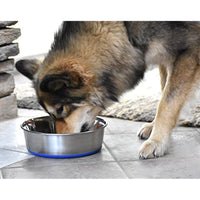 
              OurPets Premium DuraPet Dog Bowl 3qt
            