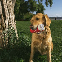 
              ZippyPaws - Squeakie Can Dog Toys, Stuffing Squeaker Plush Beverage Dog Toy - Zippy Cola
            