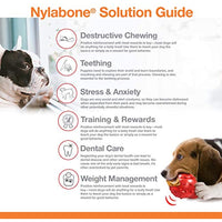 
              Nylabone Power Chew Flavored Durable Chew Toy for Dogs Peanut Butter Flavor Small/Regular, White
            